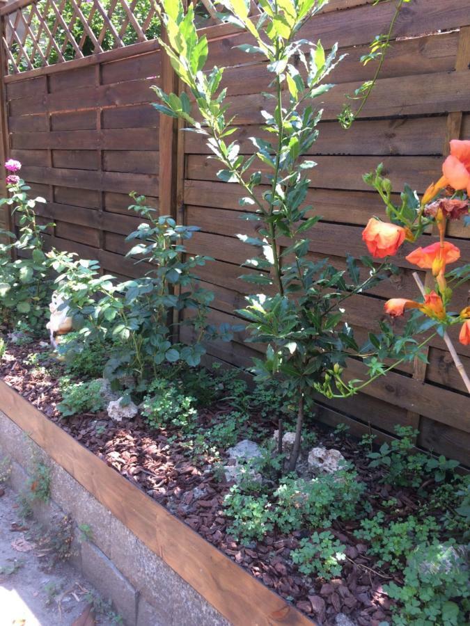 شقة La Porta Nel Giardino آستي المظهر الخارجي الصورة